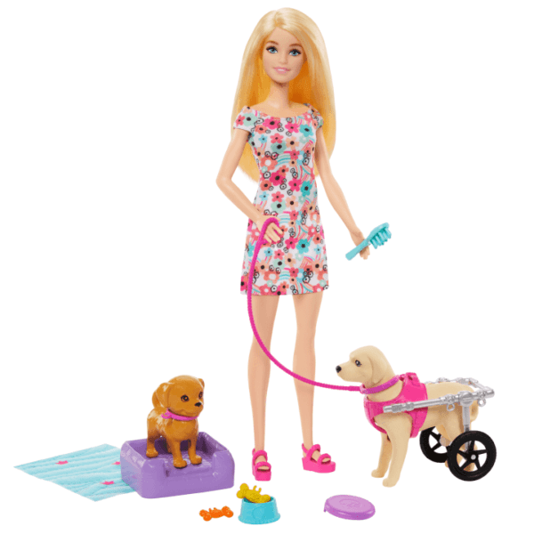 Barbie Doll With A Toy Pup And Dog in A Wheelchair, Plus Pet Accessories HTK37