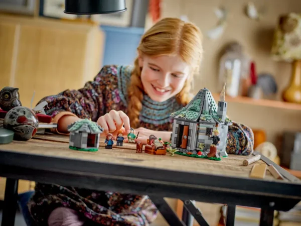 LEGO HARRY POTTER HARGIDS HUT AN UNEXPECTED VISIT (76428) - Image 4