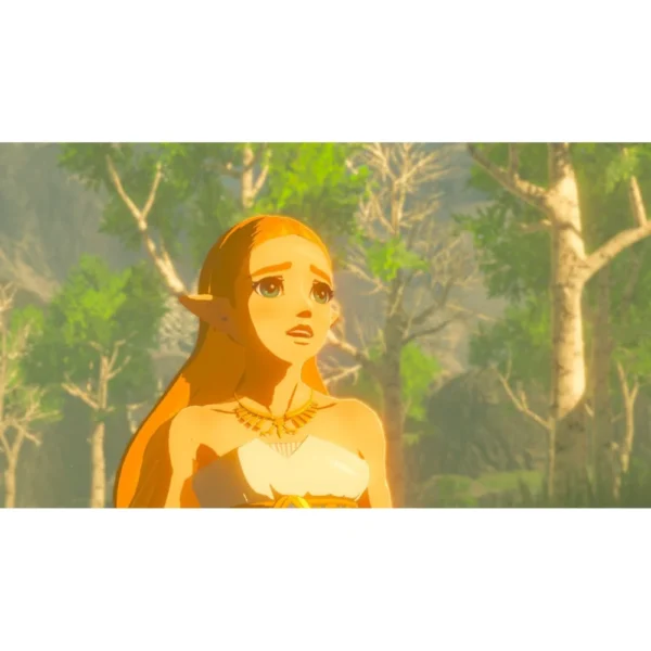 NSW The Legend of Zelda: Breath of the Wild (MDE/Eng/Chi) - Image 2